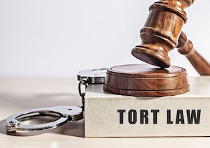 Media Tort Law